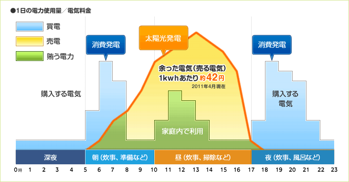 1日の電力使用量/電気料金